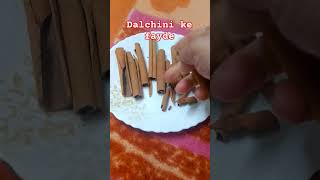 Dalchini ke fayde healthtips fact amazingfact healthtip trending [upl. by Whitcomb]