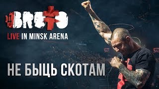 BRUTTO  Не быць скотам LIVE IN MINSK ARENA [upl. by Nomad]