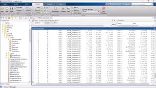 Print a beta Table in NIRS Toolbox [upl. by Eilyac]