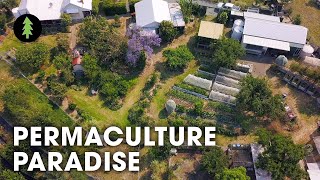 Hugely Abundant 1Acre Permaculture Homestead Tour – Limestone Permaculture Farm Revisit [upl. by Ayidan]