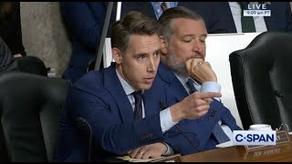 Hawley Confronts Secret Service Director After Trump Assassination Attempt No One Has Been Fired [upl. by Dnob709]