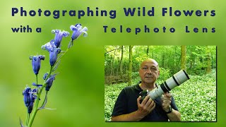 Photographing Wild Flowers with a Telephoto Lens [upl. by Sivraj]