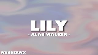 Alan Walker K391 amp Emelie Hollow  Lily Lyrics [upl. by Ander]