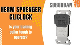 Dog Trainer Reviews Herm Sprenger ClicLock Buckle [upl. by Ellatsirhc927]