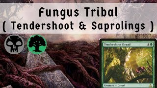 MTG Arena  Deck Of The Day  Fungus Tribal  Tendershoot Dryad amp Saproling [upl. by Anayaran941]