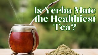 Is Yerba Mate the Healthiest Tea [upl. by Ahsemed]