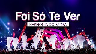 Harmonia do Samba  Foi Só Te Ver  DVD Ao Vivo Em Brasília [upl. by Romonda]