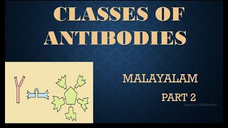 CLASSES OF ANTIBODIES IN MALAYALAM [upl. by Thorma646]