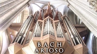 JS BACH  ARIOSO  THE ORGAN OF ST LAMBERTI MÜNSTER GERMANY  JONATHAN SCOTT [upl. by Abas]