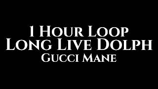 Gucci Mane  Long Live Dolph 1 Hour Loop [upl. by Burdelle872]