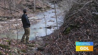 GDL The Bernheim Forest Allows You to Immerse Yourself in Nature [upl. by Gusta807]