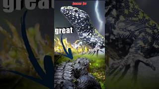 Crocodile attack giant Reptile crocodile reptiles [upl. by Bromleigh]