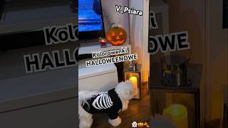 ❤️‍🔥Kolorowanki Halloweenowe👻🎃🍂happyhalloween halloween2024 shorts rysunek vpsiara [upl. by Morel]