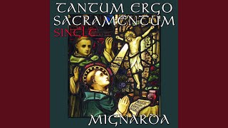 Tantum Ergo Sacramentum [upl. by Garrick64]