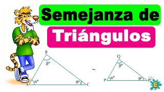 Semejanza de triángulos  Incluye ejercicios fáciles [upl. by Acinom]