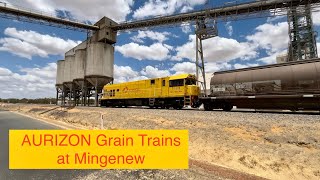 AURIZON Grain Trains at Mingenew 28122023 [upl. by Fancie]