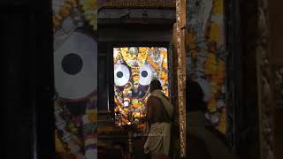 Today Sandhya aarti darshan of shree Jagannath 🙏✨❤️ Jagannath dham Puri 🙏lord jagannath aarti [upl. by Ahsenek]