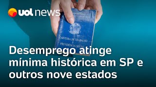 Desemprego atinge mínima histórica em SP e outros nove estados Felipe Salto analisa [upl. by Strade]