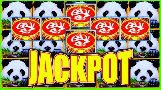 OMG We Finally Hit a JACKPOT on MILLION DOLLAR Dragon Link Panda Magic Slot [upl. by Eirolav805]