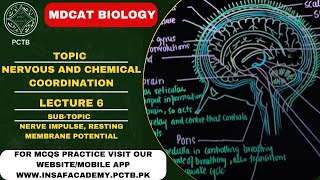 NERVE IMPULSE RESTING MEMBRANE POTENTIAL  TOPIC  NERVOUS amp CHEMICAL COORDINATION  MDCATNUMS [upl. by Collins]