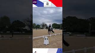 Sophie Wells  Hickstead FEI Para Internationals 2024 [upl. by Uzia]