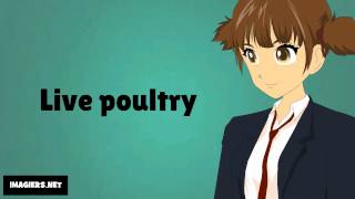 How to pronounce  Live poultry [upl. by Mel]