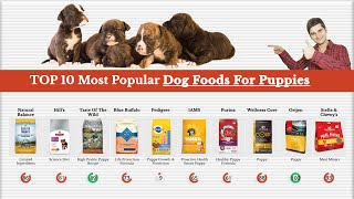 Top 10 Most Popular Dog Foods For Puppies Reviewed By Dog Food Judge 🏆 [upl. by Bronez412]