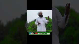 Pukaran Ya Rasool Allah  New Saifi Naat  Saqib Raza Saifi  Naat saifi trending TLP Shorts [upl. by Alysa]