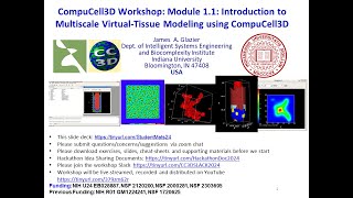 CC3D WS 11 Introduction to CompuCell3D and Virtual Tissues James Glazier July 29 2024 [upl. by Leirrad]