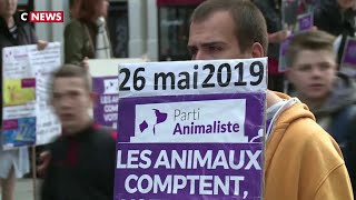 Elections européennes  le surprenant succès du Parti Animaliste [upl. by Emily]