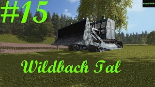 LP15 Wildbach Tal LS17 Soso Frau Bürgermeisterin [upl. by Eyma386]