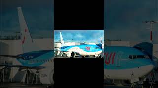 b737 max music aviation planesplanespotter song [upl. by Wyly]