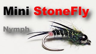 Mini Stone Fly Nymph Tying Tutorial  Dry Fly for Trout amp Grayling [upl. by Raamaj83]