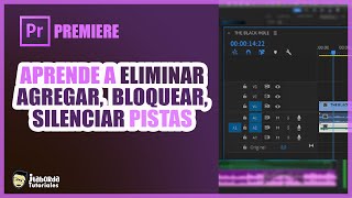 🎞️ PREMIERE PRO 03  ELIMINAR AGREGAR BLOQUEAR 🔒PISTAS [upl. by Anglim]