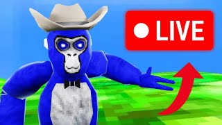 Gorilla Tag Playing With My Viewers Live [upl. by Ameyn251]