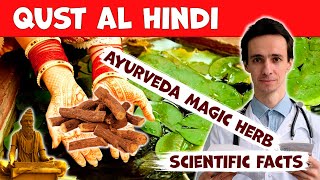 Qust Al Hindi Costus unique Indian herb What does the science say How to use Contraindications [upl. by Ytiak341]