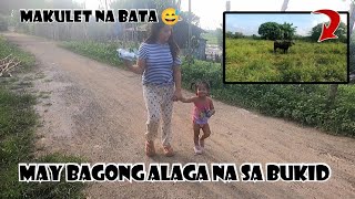 LATE UPLOAD  MAY MAKAKASAMA NA TAYONG BAGONG ALAGA SA BUKID  BIBONG BATA [upl. by Pryor91]