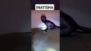 Inatisha kiumbe cha ajabu chumbani viralvideo [upl. by Ahsayn891]