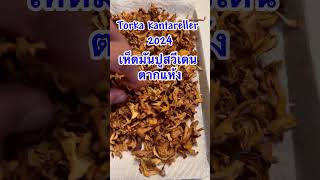 Torka kantareller 2024 เห็ดมันปูสวีเดน ตากแห้ง nyheter food mashroom lifestyle [upl. by Nickie]