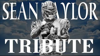 SEAN TAYLOR TRIBUTE  quotIrreplaceablequot  CAREER HIGHLIGHTS [upl. by Mirabel]