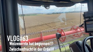 VLOG63 Weizenernte hat begonnen Zwischenfrucht in der Erde [upl. by Entirb]