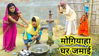 चुनमुनिया के मोगियाहा दामाद 🤪  maithili comedy new  dhorba ke comedy  harghar maithilicomedy [upl. by Kotz]