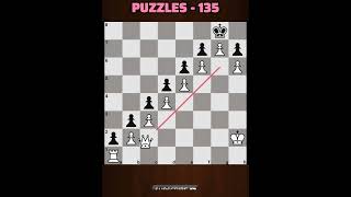 PUZZLES  135 FOR BEGINNERS [upl. by Krid]