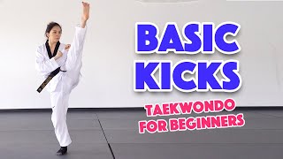 Learn Martial Arts 3 Basic Kicks for Beginners [upl. by Enrak]