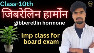 जिबेरेलिन हॉर्मोन  gibberellin hormone  biology by hardik sir [upl. by Anaidiriv332]