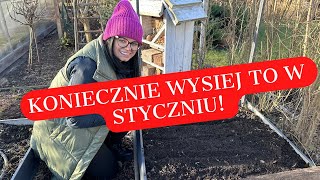 KONIECZNIE WYSIEJ TO NA POCZĄTKU STYCZNIA CO SIAĆ W STYCZNIU UPRAWA PIETRUSZKI PŁODOZMIAN [upl. by Acirrej497]