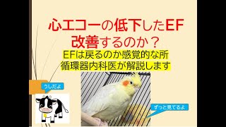 心エコーの低下したEF改善するのか？基礎から感覚的な所を循環器内科医が解説します [upl. by Eniliuqcaj]