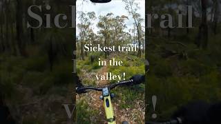 The sickest trail in the valley Kalamunda CatapultE 🤟 mtbvideomtbdownhill mtbdailymtbenduro [upl. by Sivatco]