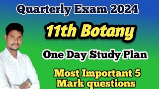 11th Botany Quarterly One Day Study Plan Most Important 5 Mark questions [upl. by Saturday146]