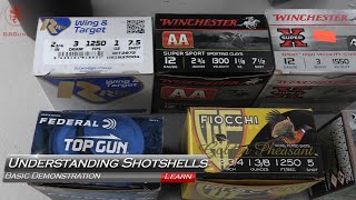 Understanding Shotgun Ammo [upl. by Karola]